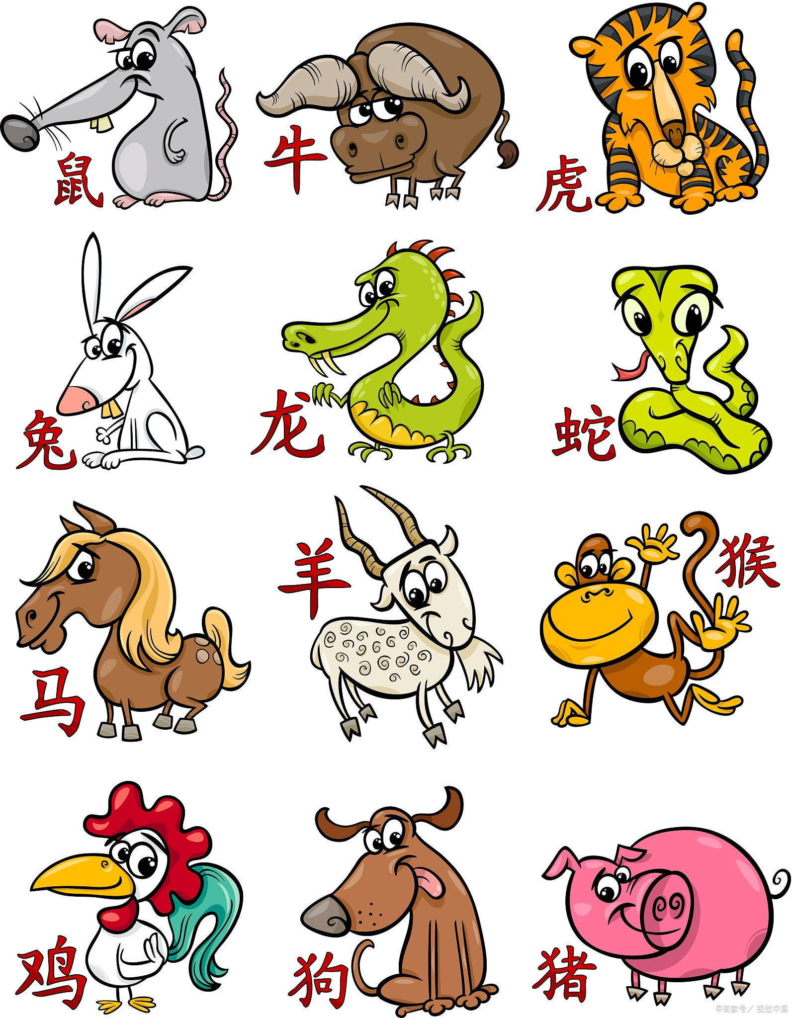 龙蛇鸡兔猴鼠羊,农家都有的动物打一生肖与警惕虚假宣传-全面释义、定量解答解释落实