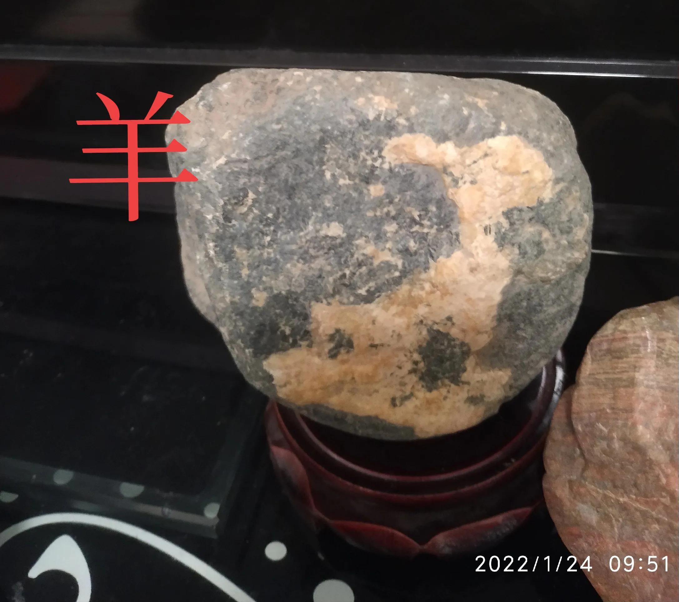 三衰六旺皆前定,头戴凤冠游四方,是什么动物生肖，详细解答、精准解答解释落实