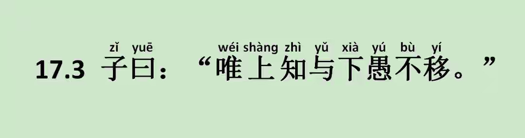 作威作福，實屬不智。三五成群十雙在打一最佳生肖、警惕虚假宣传-全面释义、时代解答解释落实